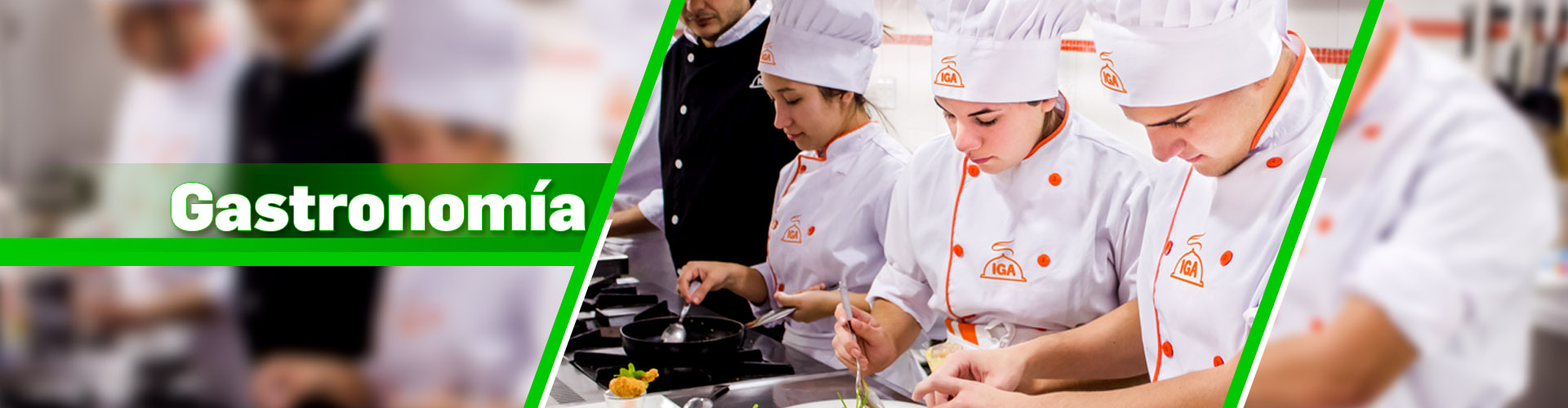 Curso gastronomia
